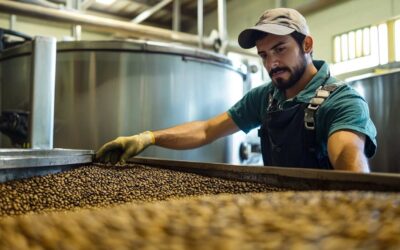 Unveiling the Magic of Anaerobic Fermentation in Coffee